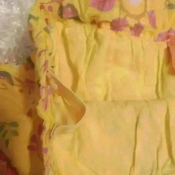 Pumpkin Patch - Picture 5 of 8